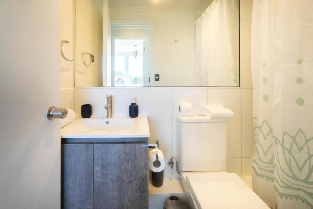 Villarrica City 2D - Wifi & Parking - 4