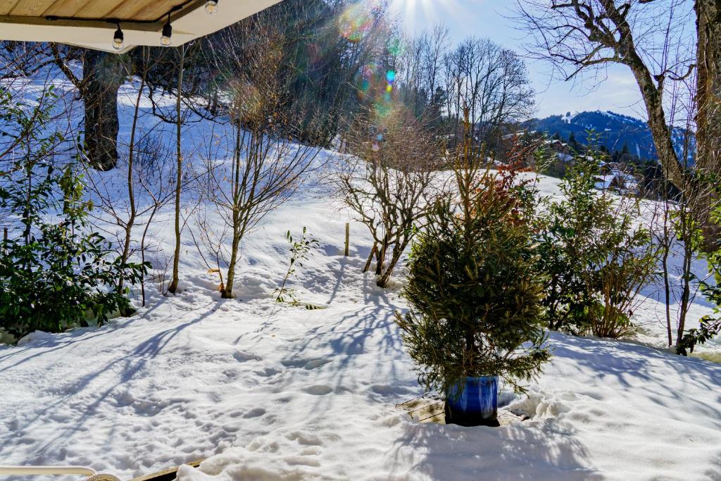 Appartement Le Pacha - Proche Centre Ville - 5