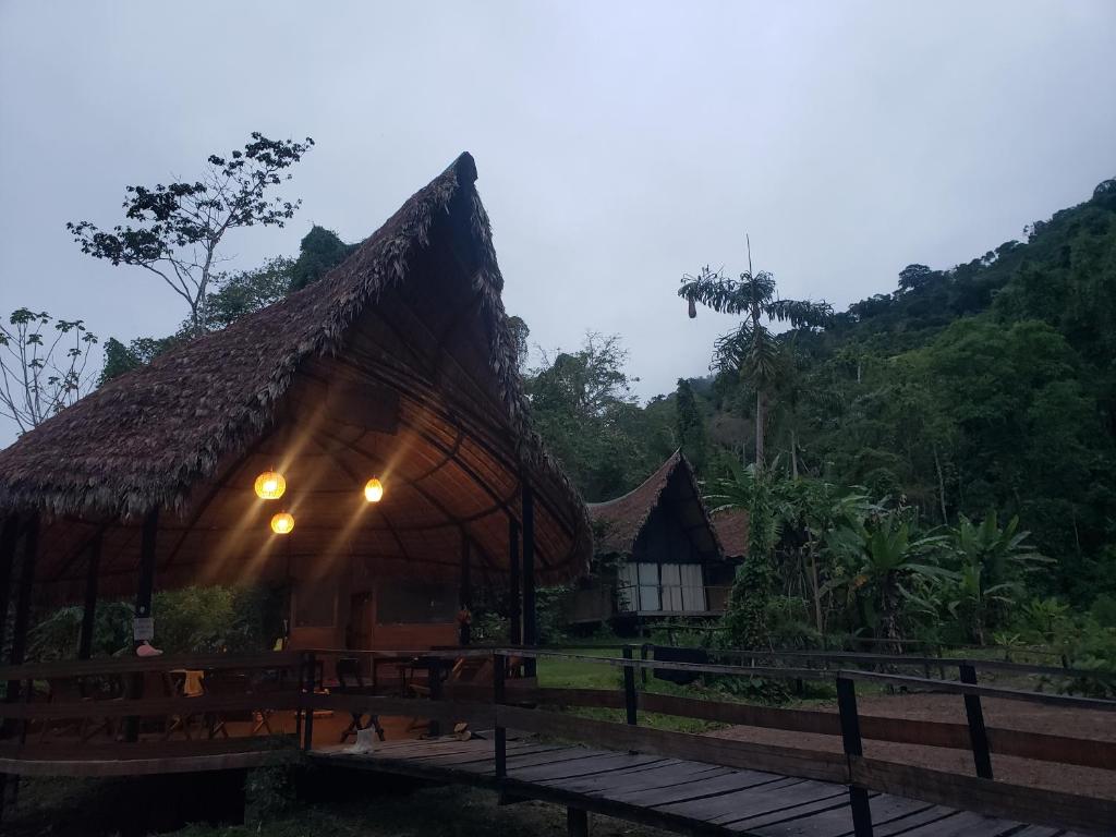Top Manu Avatar Lodge - 1