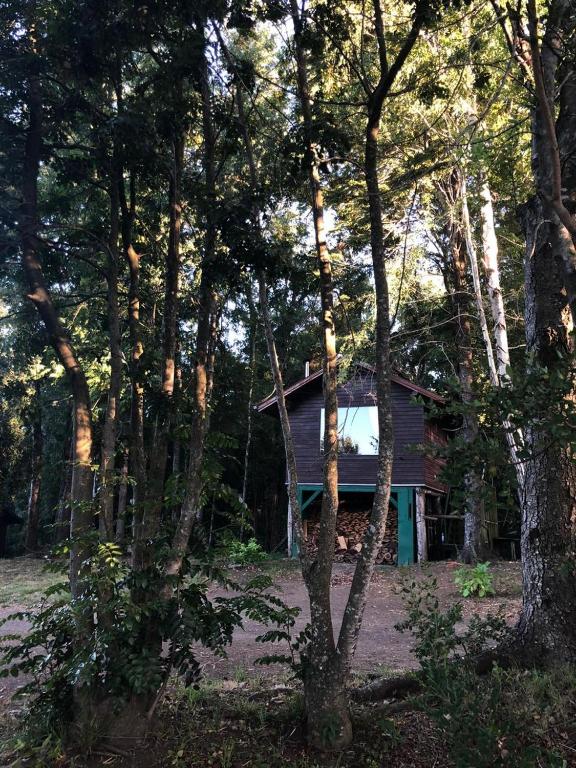 Santos del Valle - 4