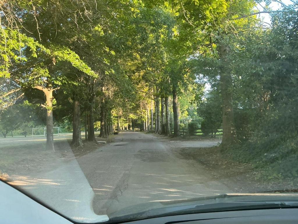 A pasos de Panamericana I Palmas y Torres del Sol I Barrio cerrado - 3