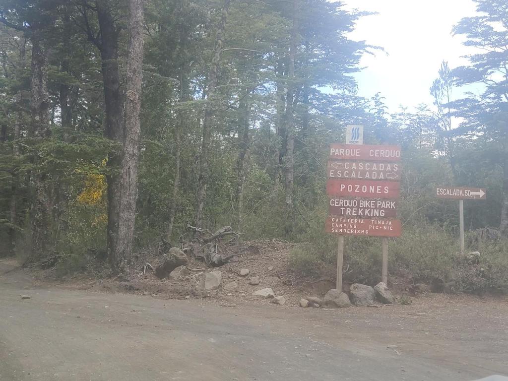 Cabañas El Cerduo Pucon montaña - 2