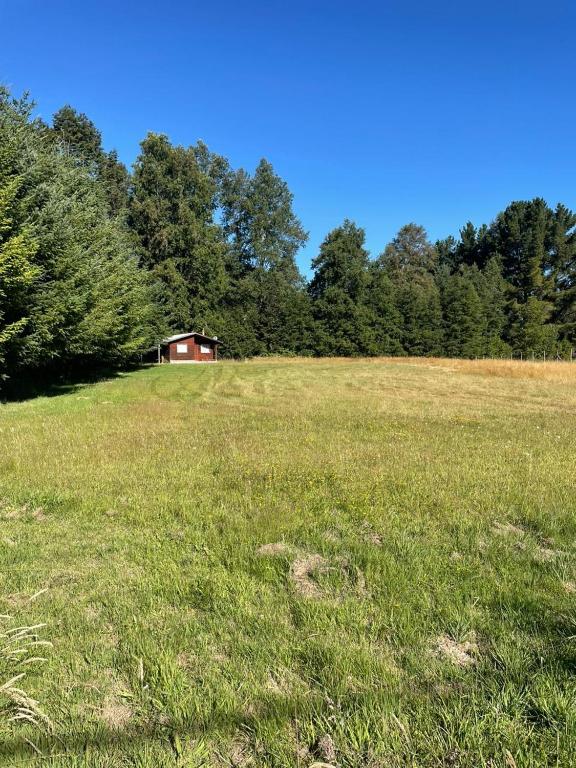 Cabaña licanray villarrica - 5