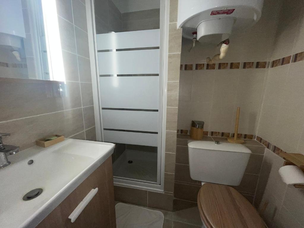 Studio confortable proche plage, animaux admis - FR-1-338-637 - 5