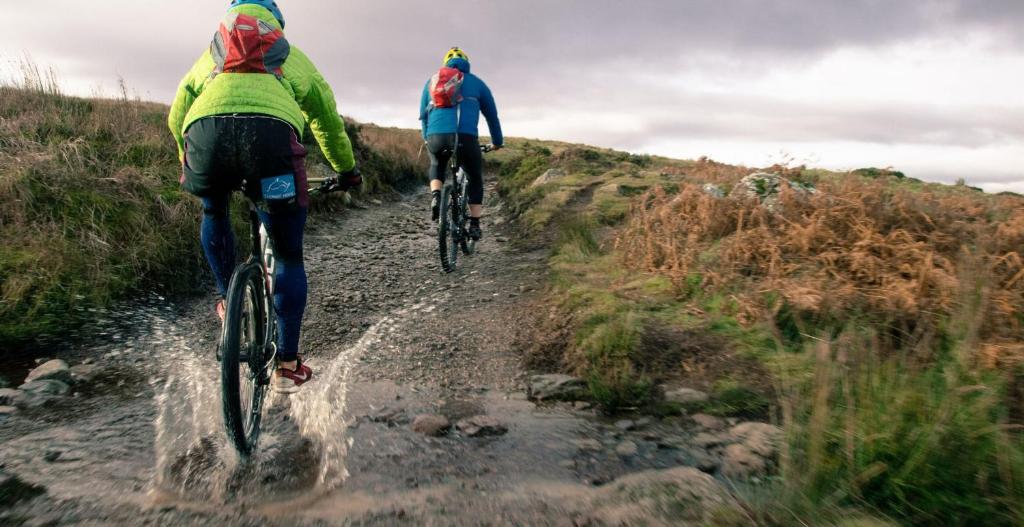 スポーツ/アクティビティ