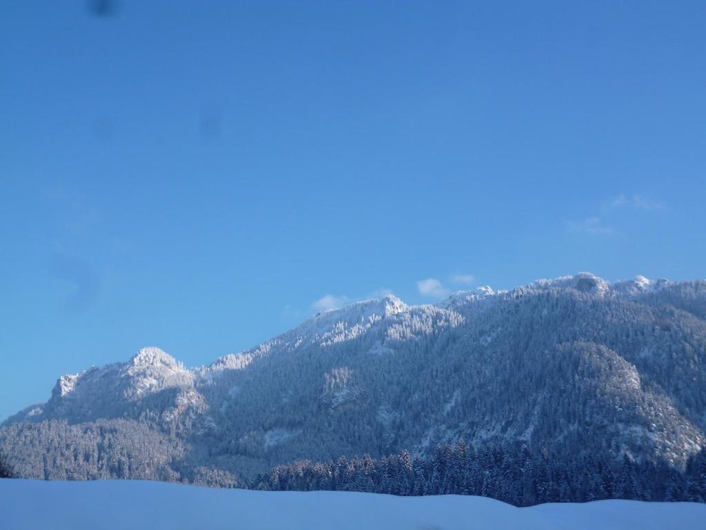 Christina's Bergblick - 5