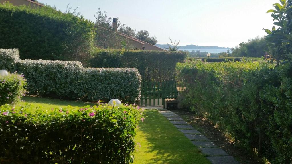 Villa Silvia - 4