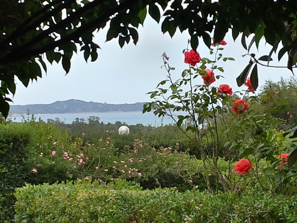 Villa Silvia - 3