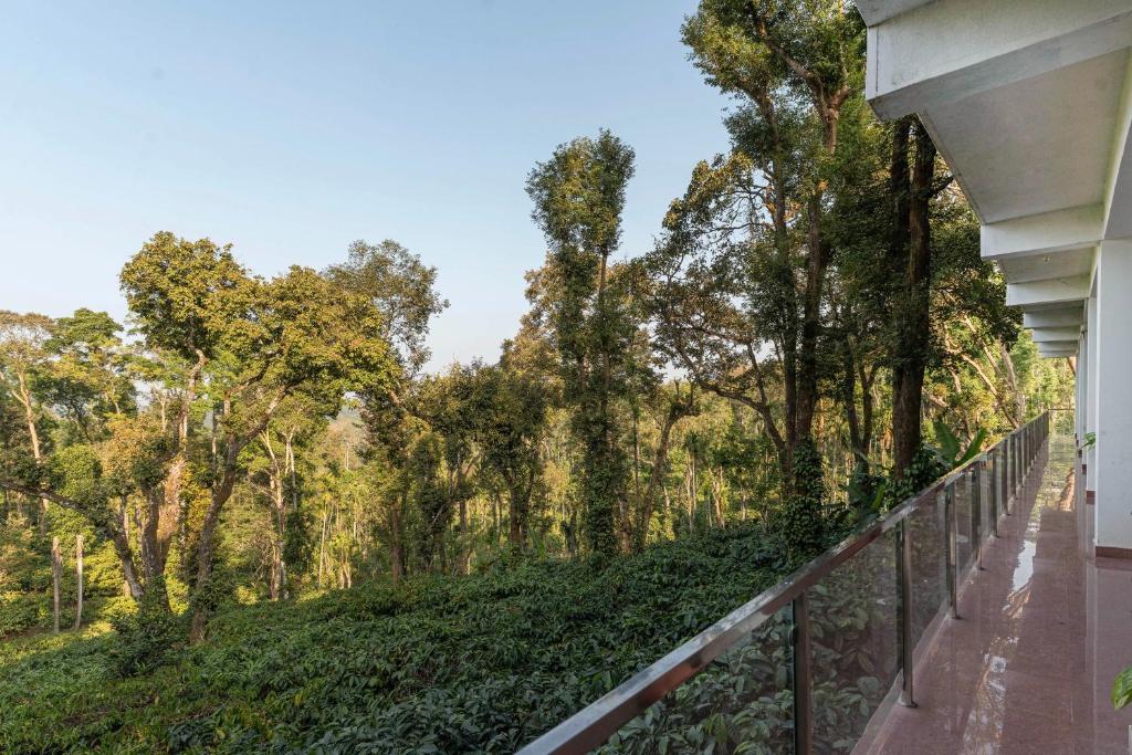 フロント・ロビー