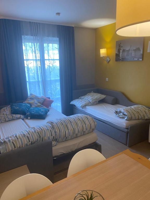 Apparthotel - Proche disneyland Paris - Piscine chauffée - 5
