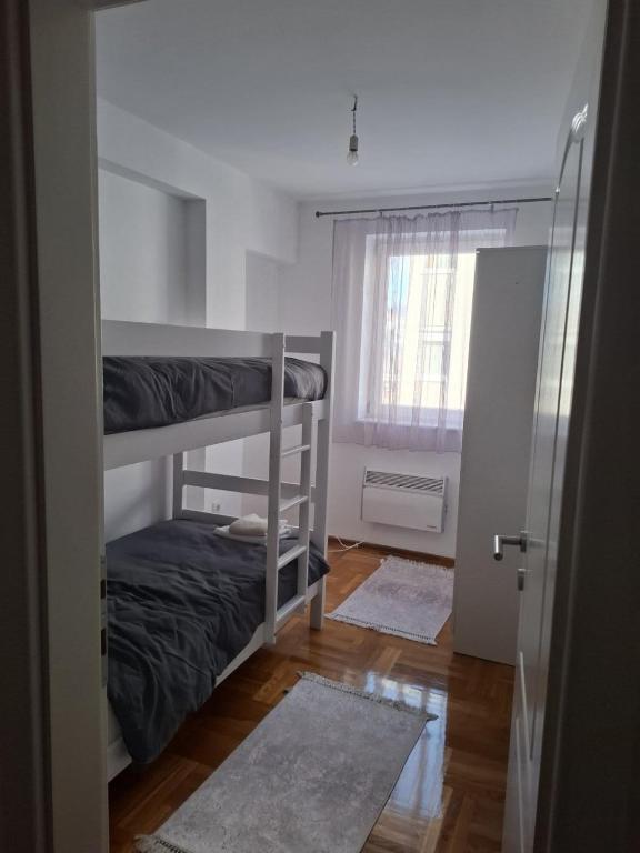 Apartman Pale centar - 5