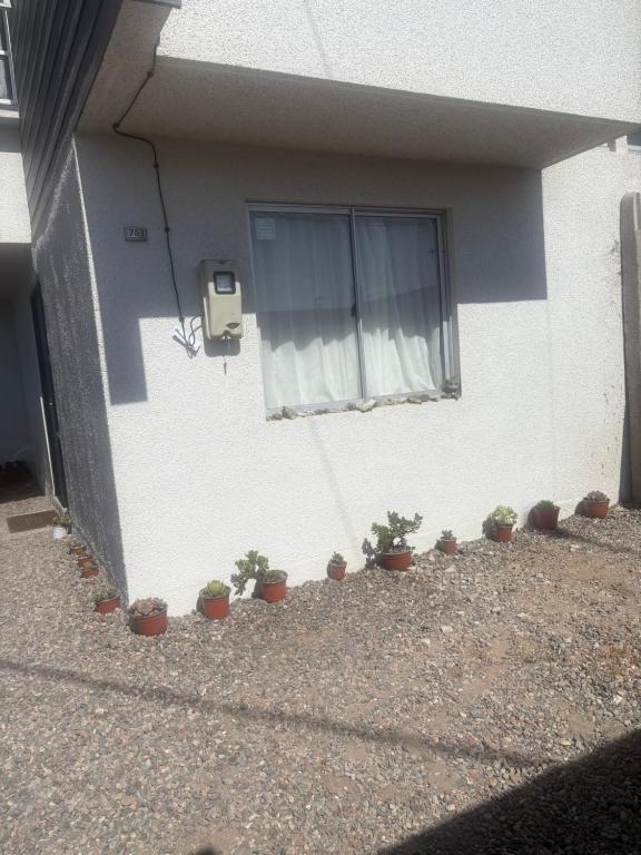 Casa La serena, para 6 personas - 3