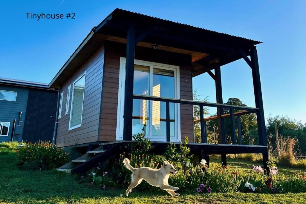 Tinyhouses Mirador del Lago - 1