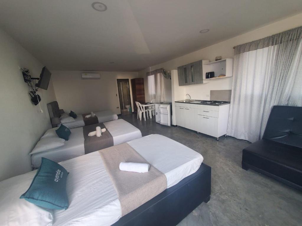 Suite hm caribe - 3