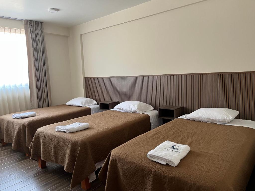BlueMoonHotelMollendo - 5