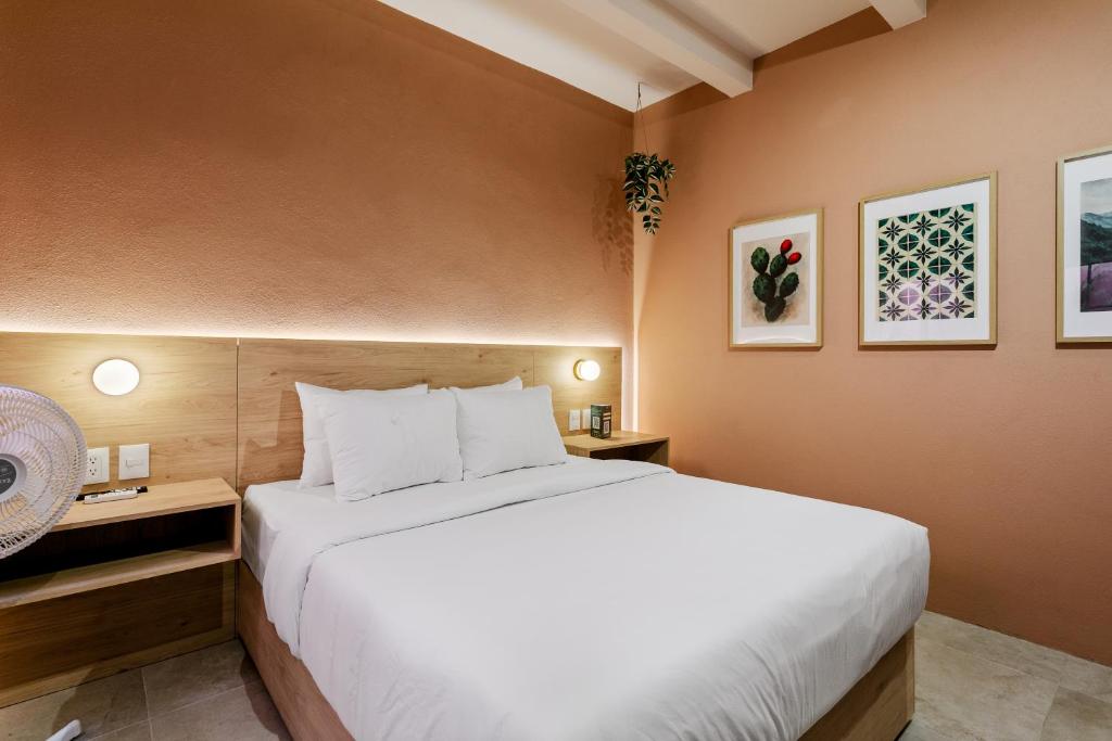Damián Carmona By Homi Rent - 1