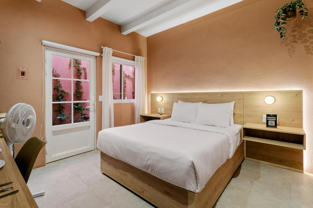 Damián Carmona By Homi Rent - 2