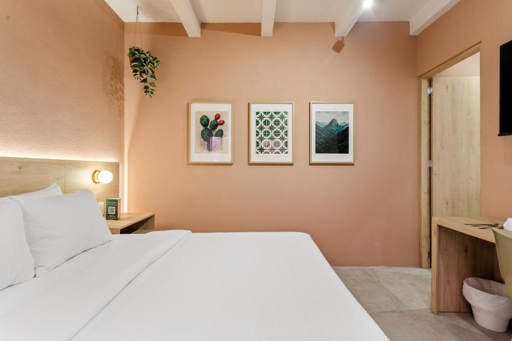 Damián Carmona By Homi Rent - 4