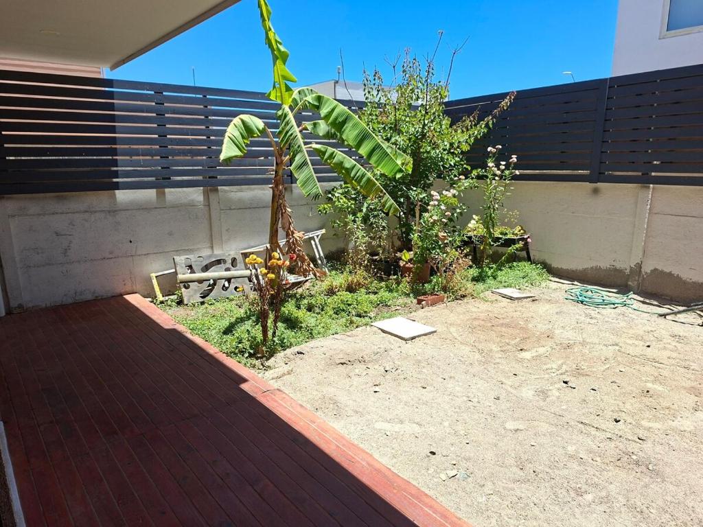 House for rent in Caldera - 4