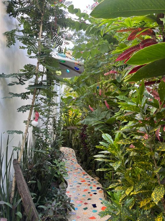 Maison Bacalar - 5