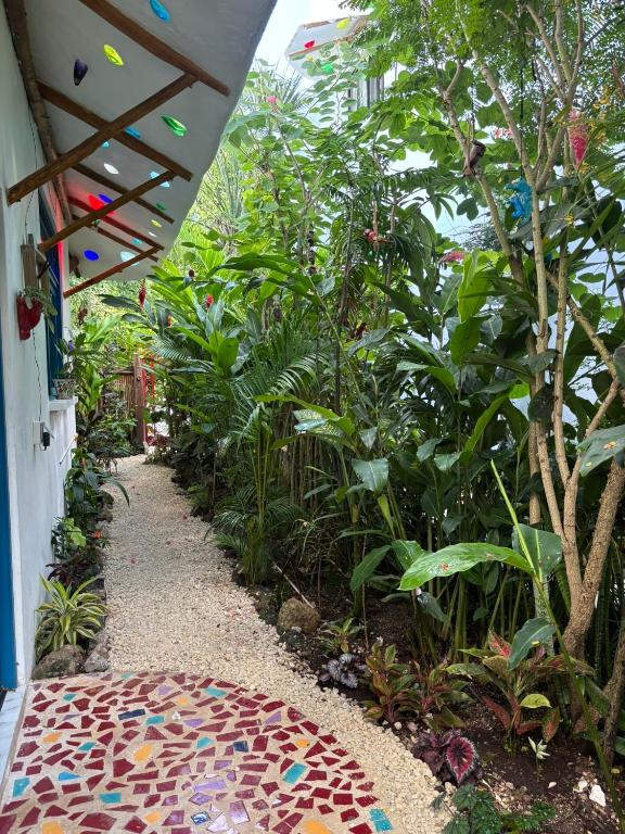 Maison Bacalar - 3