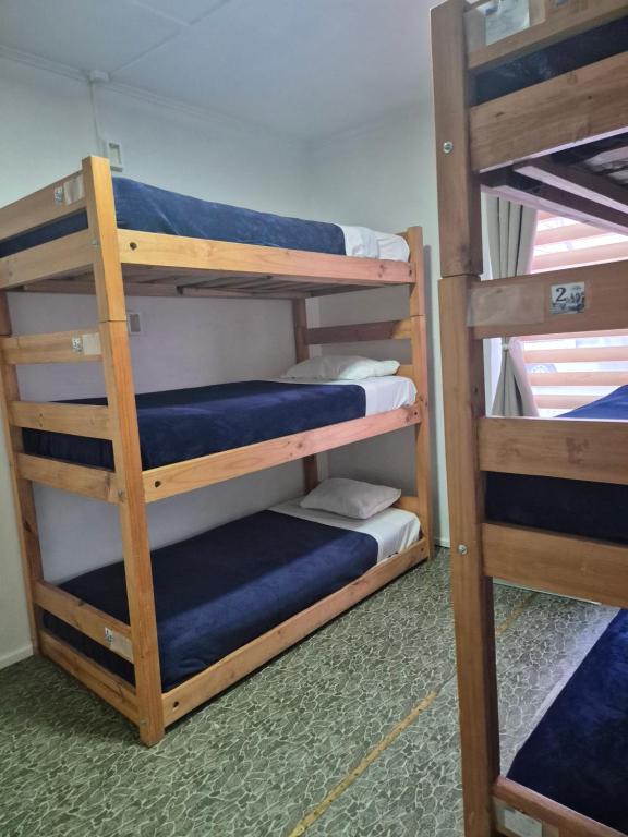 Alojamiento Emilia House y camping - 3