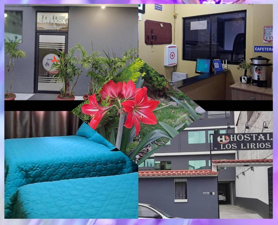 Hostal Los Lirios - 1