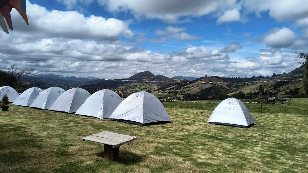 Yinkana Camping - 1