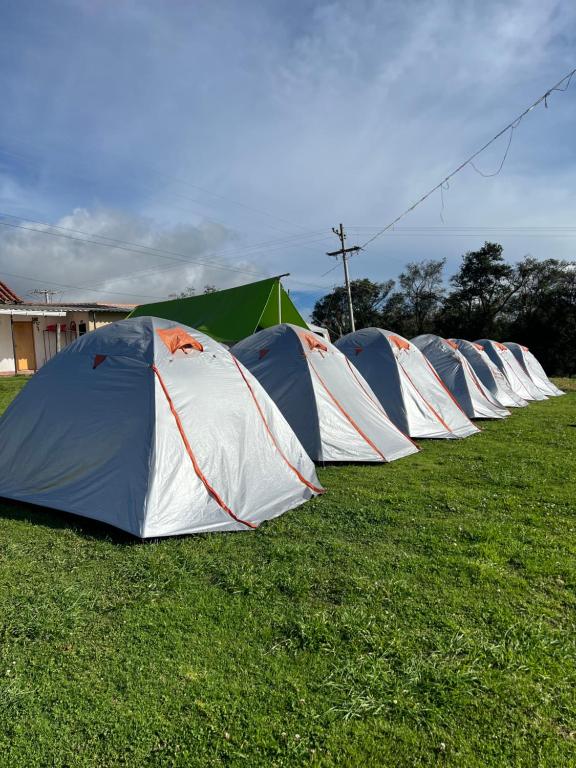 Yinkana Camping - 5