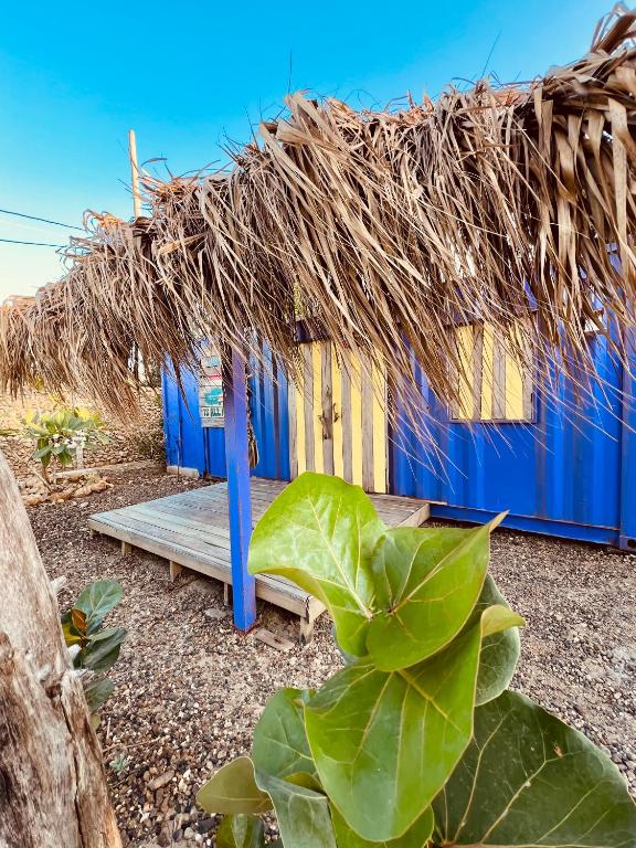 Mojarra Beach-Wind Room- Santa Veronica - 2