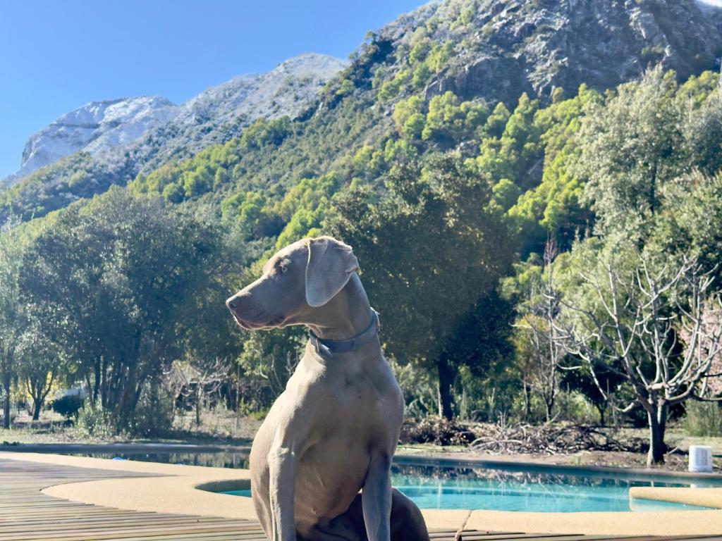 Bandurria Lodge - 1