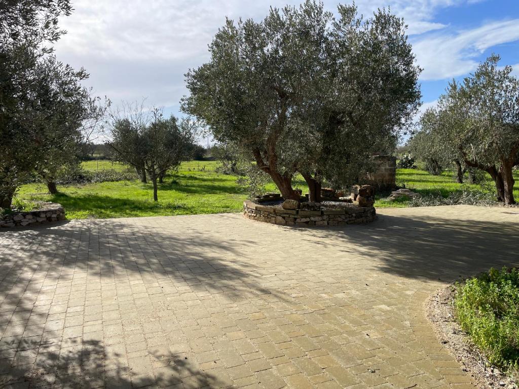 Villa DonnaMaria - 3