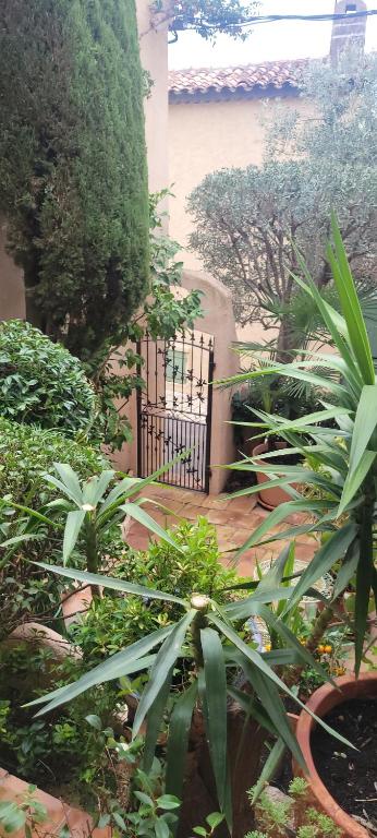 Maison de village privative calme avec jardin Terrasses Cogolin vieux Village - 5