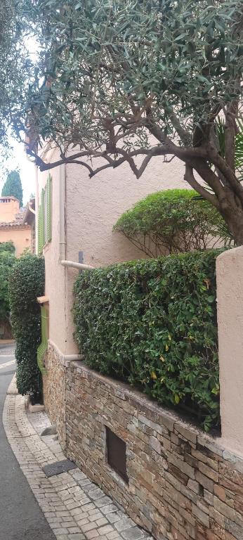 Maison de village privative calme avec jardin Terrasses Cogolin vieux Village - 2