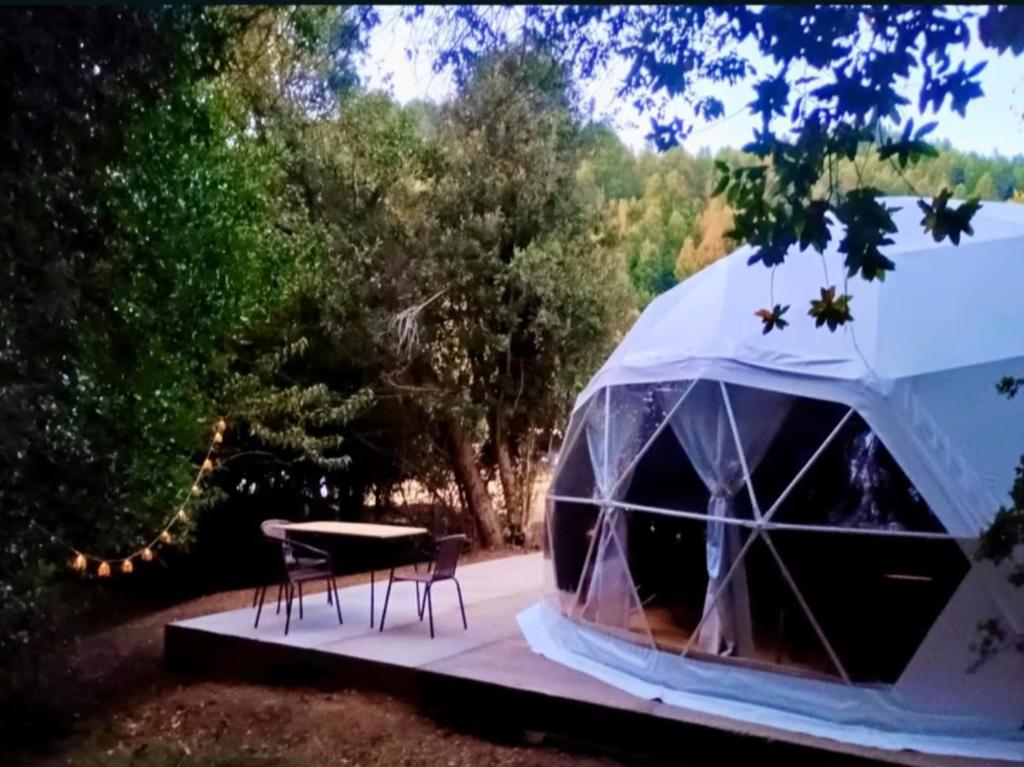Domo Glamping en el bosque - Coñaripe - 1