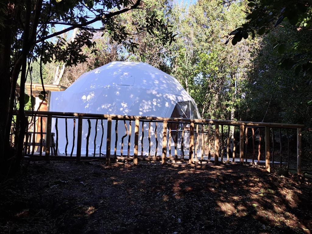 Domo Glamping en el bosque - Coñaripe - 4
