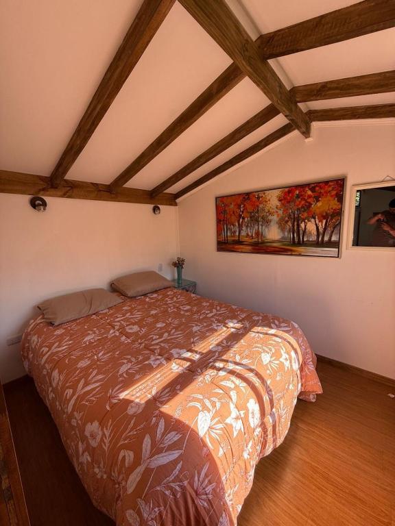 Tiny House Esmeralda - 5