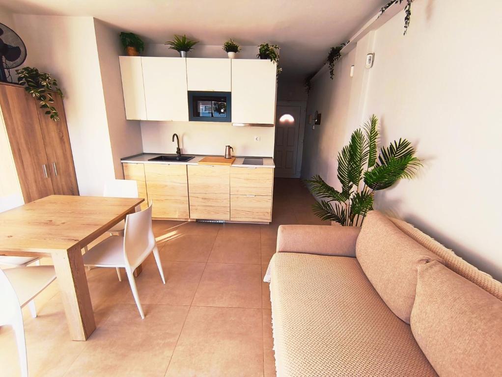 Casa Palmera - 2