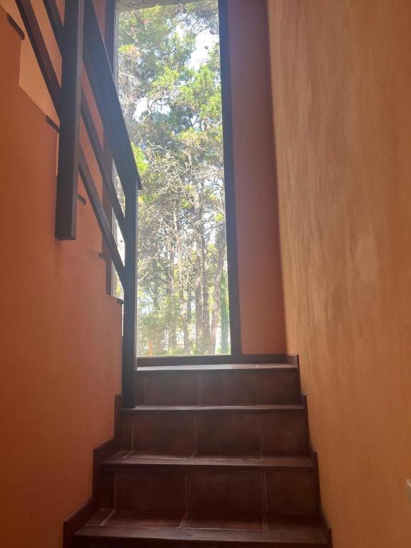 La casa del bosque - 2