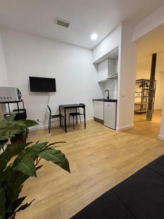 Apartamentos Melisa - Madrid - 5