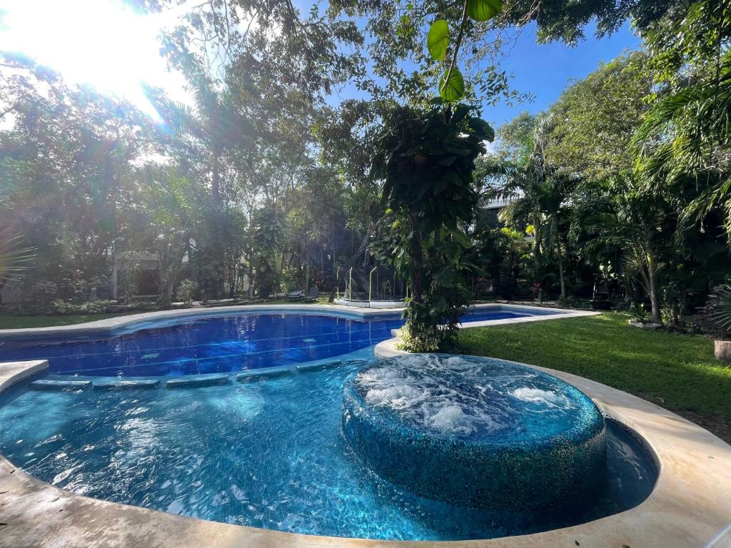Natural paradise in playa del carmen - 3