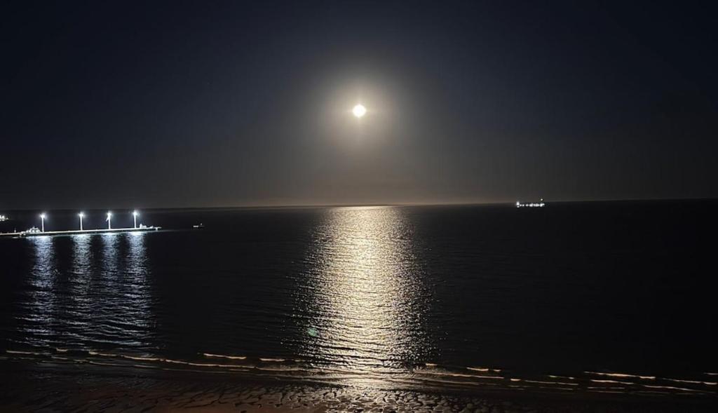 Beautiful studio apartment 400 meters from the beach - 2