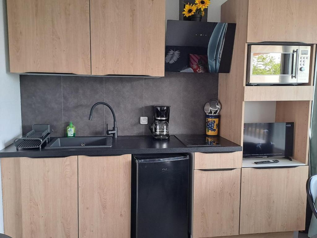 Studio rénové avec piscine et accès direct plage - 2