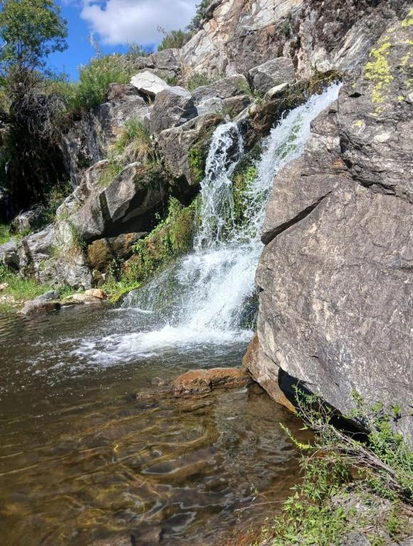 las huertitas de milele - 2