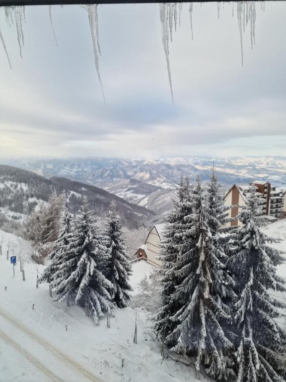SkyLux Apartments Kopaonik - Residence Hill - 1
