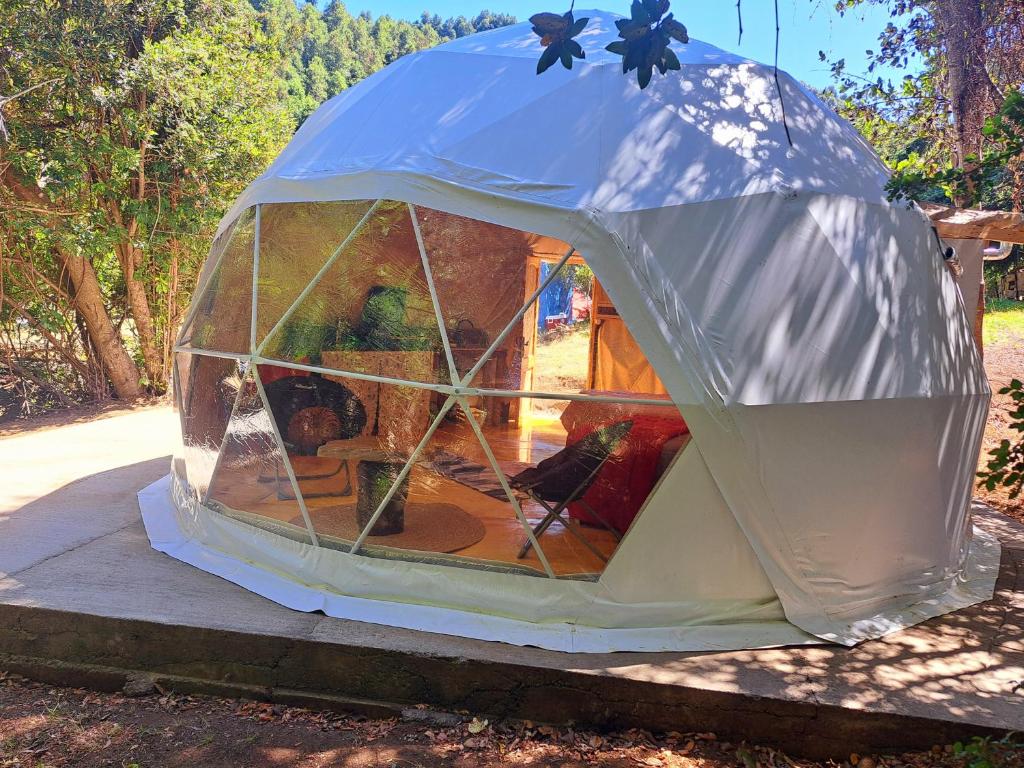 Domo Glamping en el bosque - 3