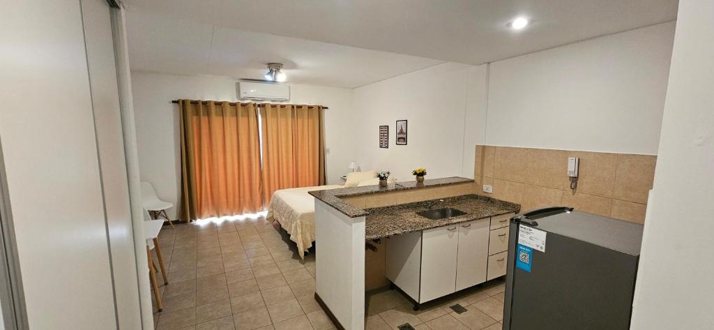 Departamento céntrico, con cochera, wifi, vista increíble - 5