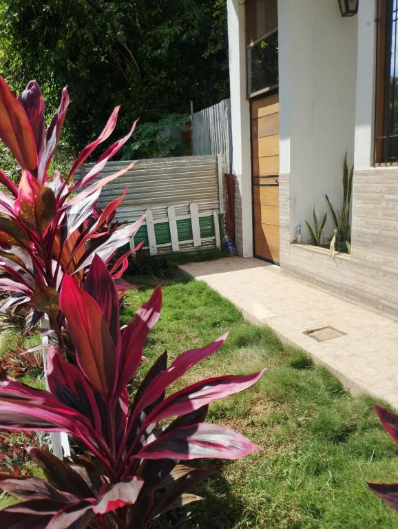 Samary house - 2