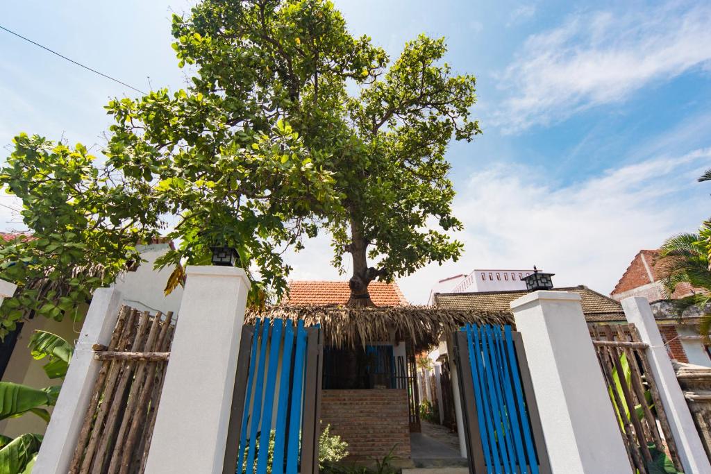 cashew tree bungalow