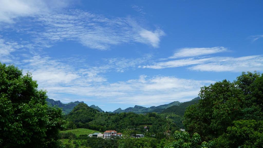 周辺案内